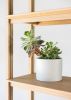 Akita Shelving | Storage by Sheepdog. Item composed of oak wood