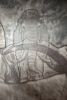 The Way of the Mammoth | Engraving in Art & Wall Decor by Jeffrey H Dean. Item composed of wood and steel