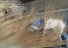 Suspended Fiber Sculpture | Sculptures by Charlotte Blake. Item composed of wood and cotton in contemporary or modern style