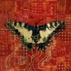 Mariposa Monopoly | Prints by Phillip Hua. Item made of metal & synthetic