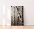 Birch Trees II | Oil And Acrylic Painting in Paintings by DANIELA PASQUALINI. Item made of synthetic