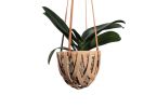 Small hanging basket | Plant Hanger in Plants & Landscape by SKINNY Ceramics | Bay Area Made x Wescover 2019 Design Showcase in Alameda. Item composed of ceramic and leather