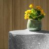 White Stone Low Glass Top Coffee Table - Plinth Series | Side Table in Tables by Donatas Žukauskas. Item composed of wood and concrete in minimalism or contemporary style
