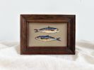 Sardine Art Print for Fisherman Core Aesthetic | Prints in Paintings by Melissa Mary Jenkins Art. Item composed of paper compatible with country & farmhouse and coastal style