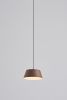 OLO XL Pendant P1 | Pendants by SEED Design USA