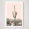 Saguaro Cactus in Sonoran Desert - Blush Pink | Photography by Capricorn Press. Item composed of paper compatible with boho and contemporary style
