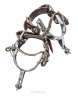 Bridle | Photography by Rick Szczechowski Photography Inc.. Item made of paper compatible with rustic style