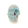 Ceramic Skull | Sculptures by niho Ceramics. Item composed of stoneware in contemporary or coastal style