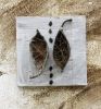 Installation | Sculptures by Janet Botes. Item made of wood