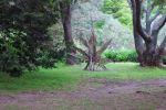 "Leaves of Change" | Public Sculptures by Janet Botes. Item composed of wood