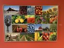 Growing Our Food | Prints by Lisa Levine | Kaiser Permanente Oakland Medical Center in Oakland. Item made of metal