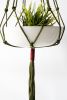 Macrame Plant Hanger, HOlive Green, Deep Burgundy, Hand-Dyed | Wall Sculpture in Wall Hangings by Freefille. Item composed of cotton in contemporary or modern style