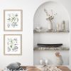 Olive Botanical Study Assemblage (Pair) Art Prints | Prints by Jennifer Lorton Art. Item made of paper works with contemporary & country & farmhouse style