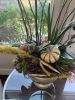 Grand orchid and succulent arrangements | Floral Arrangements by Fleurina Designs