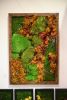 Autumn Moss - Foliage Colors 40x28" Wooden Frame in Walnut | Wall Hangings by Mosstique | Art For The People Gallery in Austin. Item made of wood compatible with boho and eclectic & maximalism style