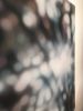 "Between The Light And Dark" | Oil And Acrylic Painting in Paintings by Laura Wood. Item composed of canvas & synthetic