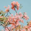Modern Floral Fine Art Print | Photography by Alicia Bock Print Shop. Item made of paper works with eclectic & maximalism & modern style