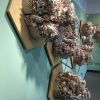Hive Expanded | Sculptures by Susan Beiner | Krasl Art Center in Saint Joseph