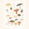 Mushrooms | Prints by Elana Gabrielle. Item composed of paper
