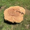 Live Edge Sugar Maple Coffee Table on steel base | Tables by Basemeant WRX. Item made of maple wood with steel