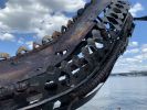 Leaping Sturgeon Commissioned for approach to Cuomo Bridge | Public Sculptures by Wendy Klemperer Art Inc. Item composed of steel