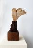 Untitled 225 | Sculptures by Neshka Krusche. Item in contemporary or coastal style