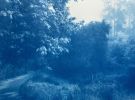 Fog Ridge (16 x 24 inch hand-printed cyanotype) | Photography by Christine So. Item made of paper compatible with boho and country & farmhouse style