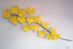orchid flower - polished and coated Stainless Steel | Wall Sculpture in Wall Hangings by Jeroen Stok. Item made of steel