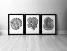 Pine, Cedar, and Locust Tree | Prints by Erik Linton. Item composed of paper
