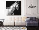 White Horse 2 | Oil And Acrylic Painting in Paintings by Irena Orlov. Item composed of canvas & synthetic