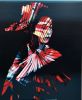 "Gliding through the Folds" & "Kaleidoscopic Kyoto: Origami Aka Maiko" | Oil And Acrylic Painting in Paintings by Shan Richards | InterContinental Sydney Double Bay in Double Bay. Item made of canvas