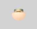 Pensee Wall/Ceiling Light | Sconces by SEED Design USA