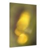 Ephemeral Glow 1054 | Prints by Petra Trimmel. Item made of wood with canvas works with modern style