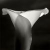 Shadow dance | Photography by Dario Moschetta. Item made of wood & canvas compatible with contemporary and modern style