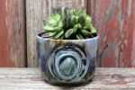 Moss Agate Succulent Pot | Vases & Vessels by Pottery By Andrea