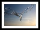 WaterWings | Photography by Rick Garcia. Item composed of paper