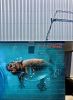 "Oh Dear" Mural | Street Murals by VELA ART. Item made of synthetic