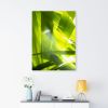 Sunkissed_3607  --  the life-giving energy of nature | Prints in Paintings by Petra Trimmel. Item made of canvas & paper