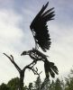 Osprey | Public Sculptures by Wendy Klemperer Art Inc. Item made of steel
