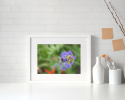 Photograph • Bee, Florals, Macro, Flowers | Photography by Honeycomb. Item made of metal with paper