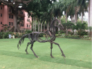 Running Black | Public Sculptures by Wendy Klemperer Art Inc | Sponder Gallery in Boca Raton. Item made of steel