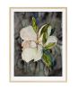 Magnolia Study No. 7 : Original Watercolor Painting | Paintings by Elizabeth Beckerlily bouquet. Item composed of paper compatible with boho and contemporary style