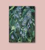 WILD OLIVES - original acrilic painting | Oil And Acrylic Painting in Paintings by Marinela Puscasu. Item made of canvas works with contemporary & country & farmhouse style