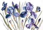 Irises : Original Watercolor Painting | Paintings by Elizabeth Becker. Item composed of paper compatible with boho and minimalism style