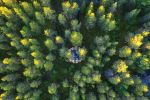 Studio Stirling Bubble in Bjarke Ingels Group Project in Swe | Swing Chair in Chairs by Studio Stirling | Tree Hotel in Harads. Item composed of steel compatible with minimalism and country & farmhouse style
