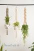 Macrame Plant Hanger, Boho Plant Holder | Plants & Landscape by BeanDaikon. Item made of cotton works with boho style