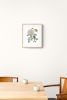 Rose Study No. 80 : Original Watercolor Painting | Paintings by Elizabeth Becker. Item composed of paper in boho or minimalism style
