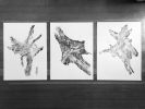 Set of 3 Tree Root Prints | Prints by Erik Linton. Item composed of paper