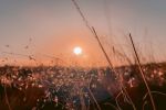 ALPENGLOW | Fine Art Print - Photography | Photography by Jess Ansik. Item composed of paper in boho or country & farmhouse style