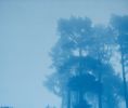 Caminante No hay Camino: original cyanotype FRAMED to 35x27" | Photography by Christine So | Baukunst in San Francisco. Item composed of paper in boho or rustic style
